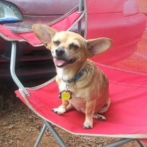 Meet your Posher, Darrel